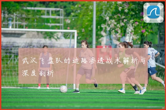 武汉飞盘队的边路渗透战术解析与深度剖析