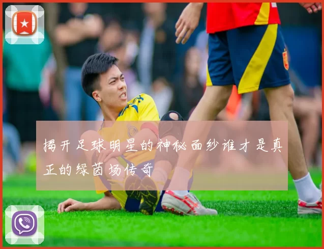 揭开足球明星的神秘面纱谁才是真正的绿茵场传奇