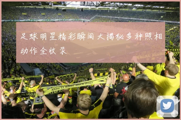足球明星精彩瞬间大揭秘多种照相动作全收录