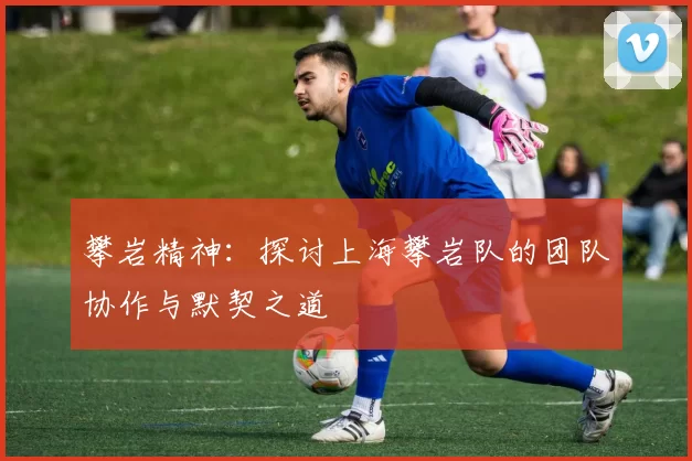 攀岩精神：探讨上海攀岩队的团队协作与默契之道