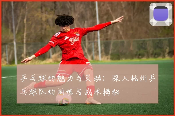 乒乓球的魅力与灵动：深入杭州乒乓球队的训练与战术揭秘