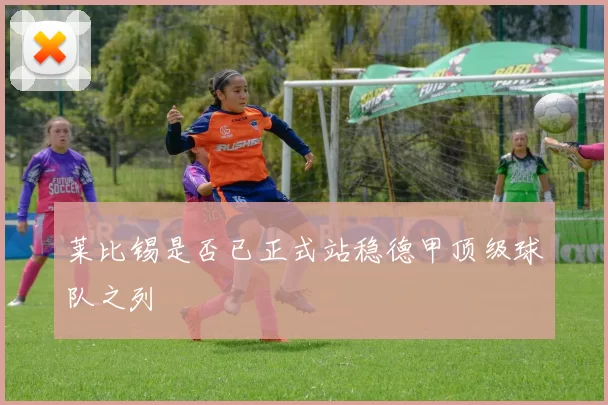 莱比锡是否已正式站稳德甲顶级球队之列