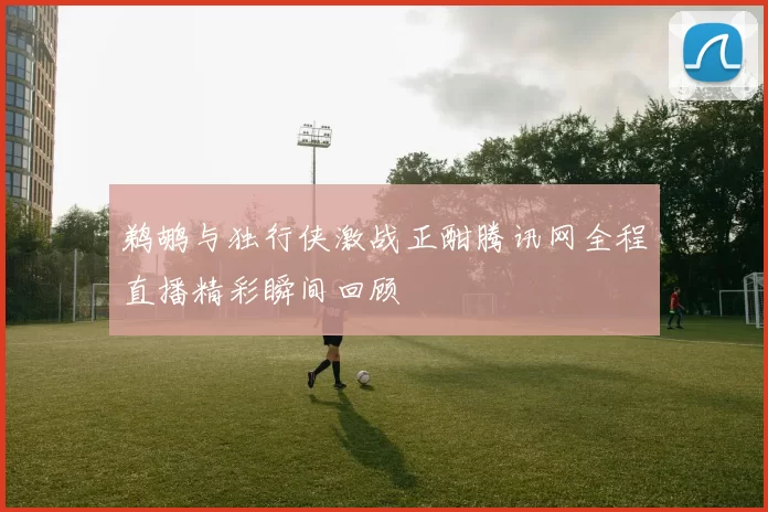 鹈鹕与独行侠激战正酣腾讯网全程直播精彩瞬间回顾