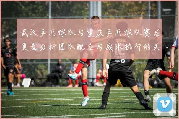 武汉乒乓球队与重庆乒乓球队赛后复盘分析团队配合与战术执行的关键要素