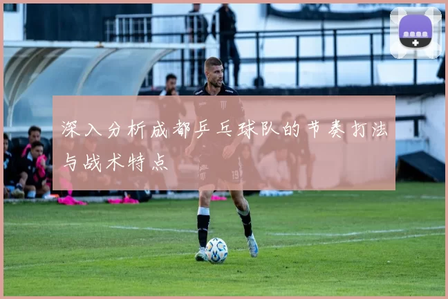 深入分析成都乒乓球队的节奏打法与战术特点