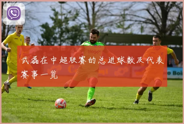 武磊在中超联赛的总进球数及代表赛事一览