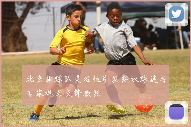 北京排球队灵活性引发热议球迷与专家观点交锋激烈