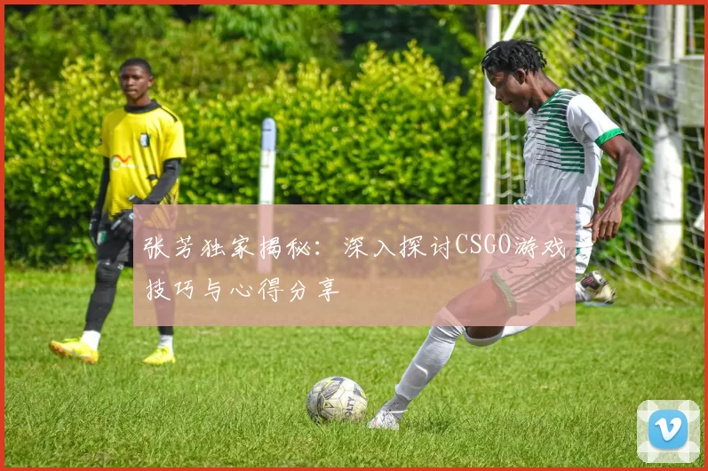 张芳独家揭秘：深入探讨CSGO游戏技巧与心得分享