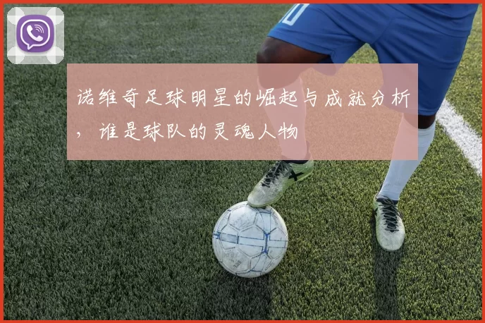 诺维奇足球明星的崛起与成就分析，谁是球队的灵魂人物