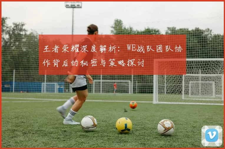 王者荣耀深度解析：WE战队团队协作背后的秘密与策略探讨