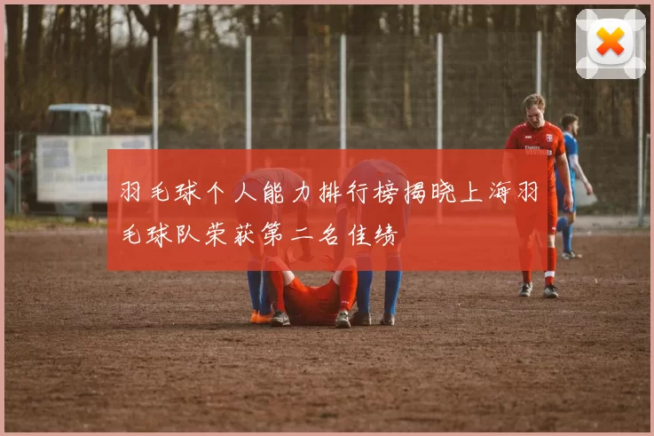 羽毛球个人能力排行榜揭晓上海羽毛球队荣获第二名佳绩