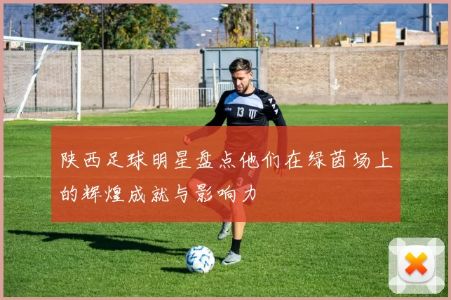 陕西足球明星盘点他们在绿茵场上的辉煌成就与影响力
