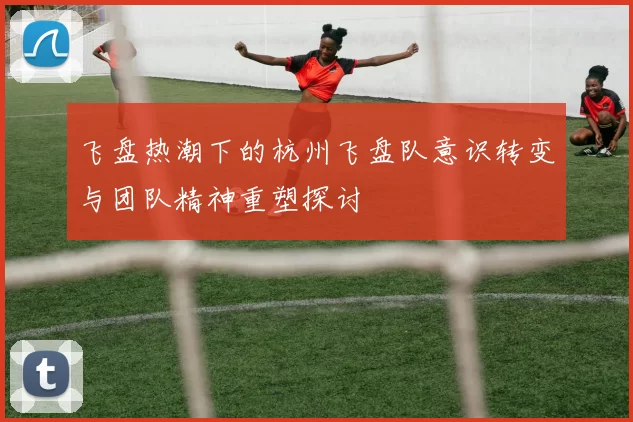 飞盘热潮下的杭州飞盘队意识转变与团队精神重塑探讨