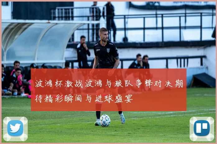 波鸿杯激战波鸿与狼队争锋对决期待精彩瞬间与进球盛宴
