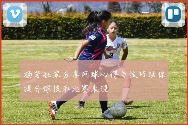 杨芳独家分享网球心得与技巧助你提升球技和比赛表现