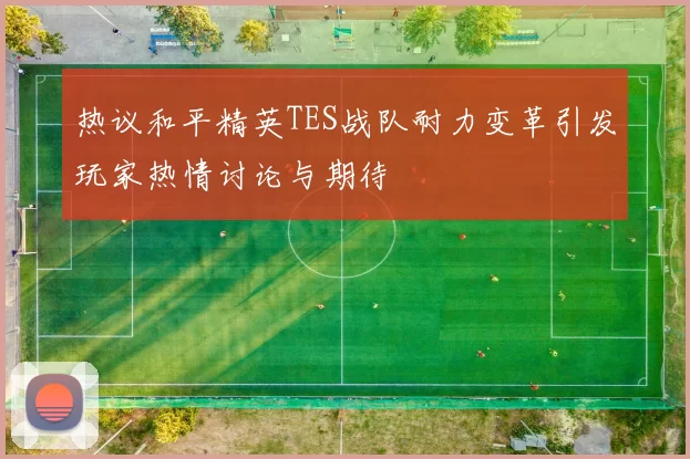 热议和平精英TES战队耐力变革引发玩家热情讨论与期待