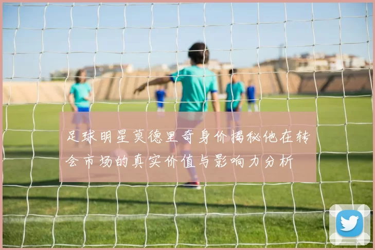 足球明星莫德里奇身价揭秘他在转会市场的真实价值与影响力分析