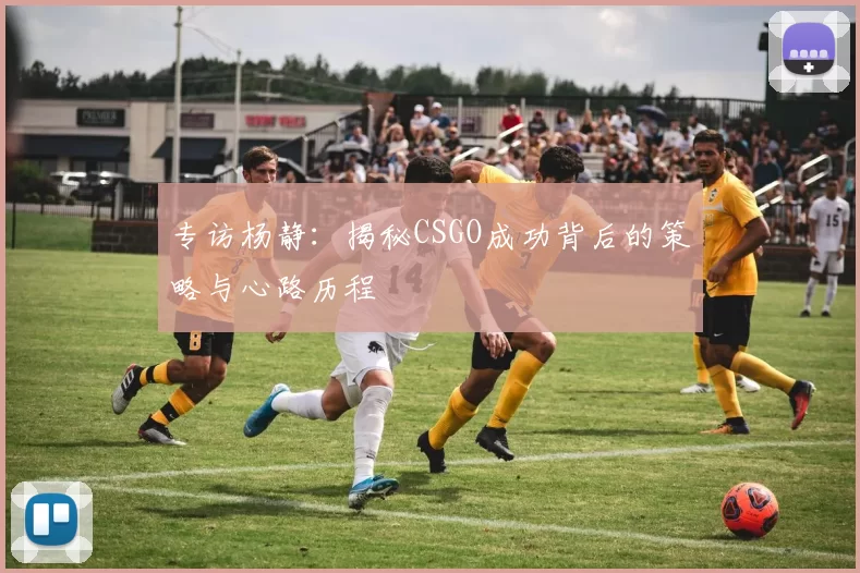 专访杨静：揭秘CSGO成功背后的策略与心路历程