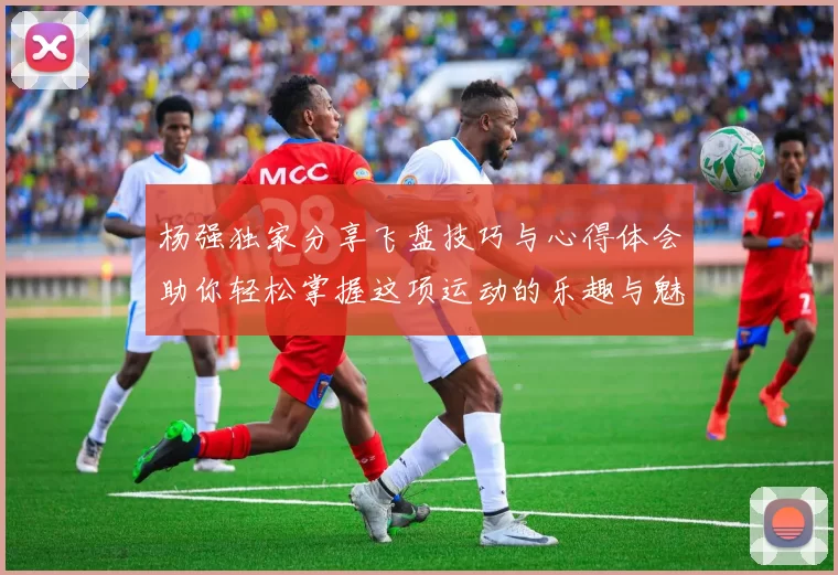 杨强独家分享飞盘技巧与心得体会助你轻松掌握这项运动的乐趣与魅力