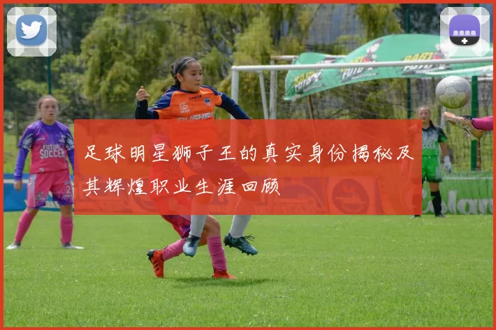 足球明星狮子王的真实身份揭秘及其辉煌职业生涯回顾