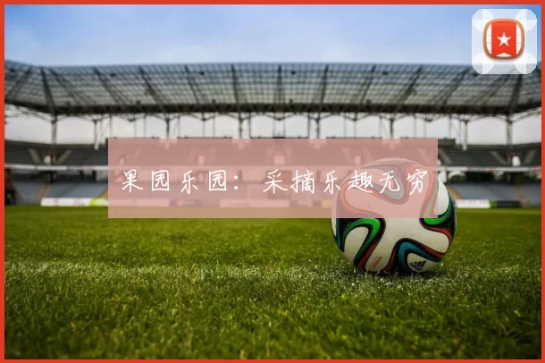 果园乐园：采摘乐趣无穷