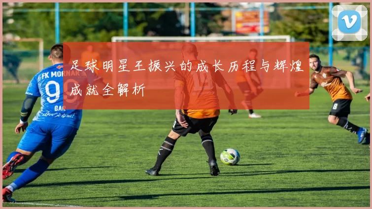 足球明星王振兴的成长历程与辉煌成就全解析