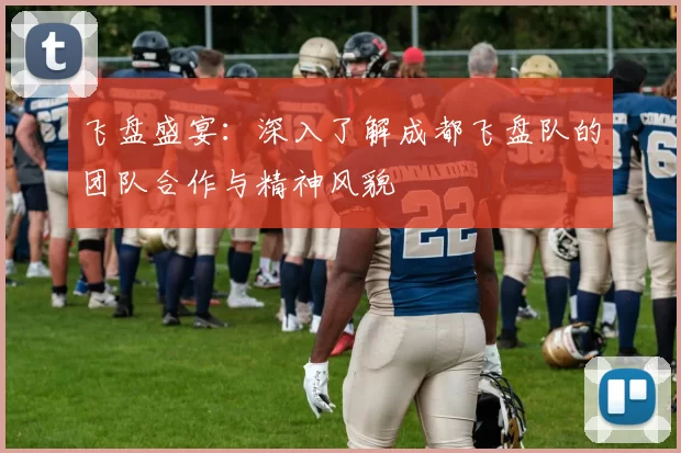 飞盘盛宴：深入了解成都飞盘队的团队合作与精神风貌