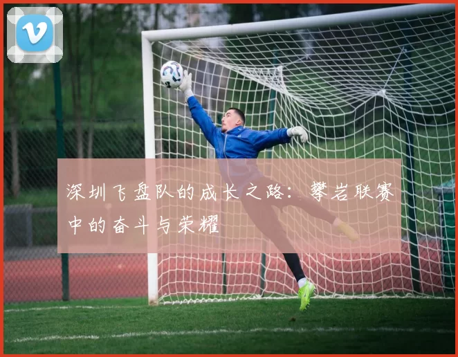 深圳飞盘队的成长之路：攀岩联赛中的奋斗与荣耀