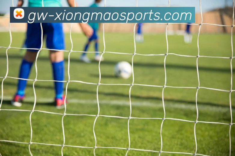 熊猫体育平台生态图