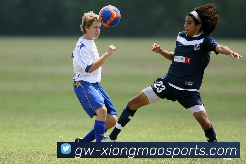 熊猫体育APP 封面图