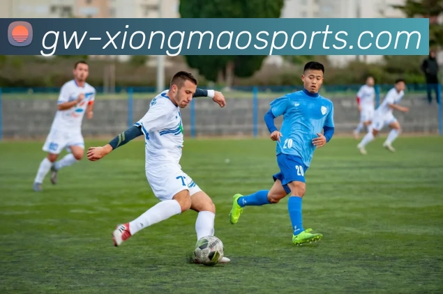 数据防护可视化